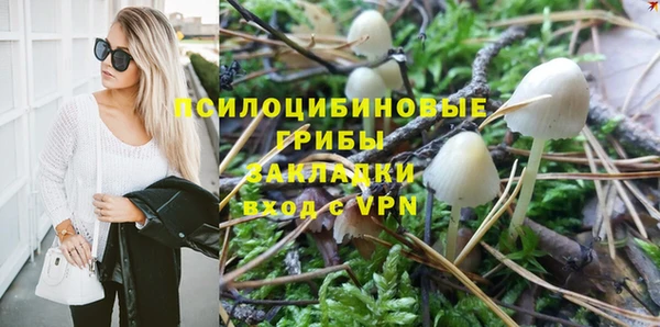 экстази Арсеньев