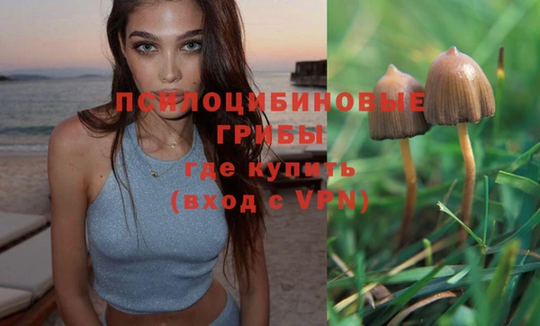 Альфа ПВП Аркадак