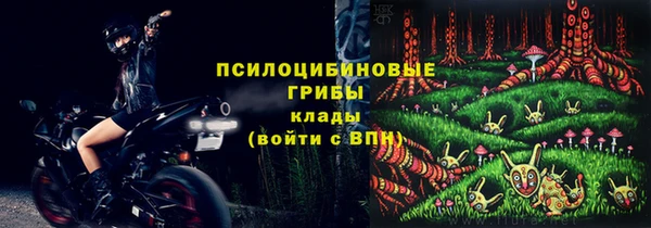 Альфа ПВП Аркадак