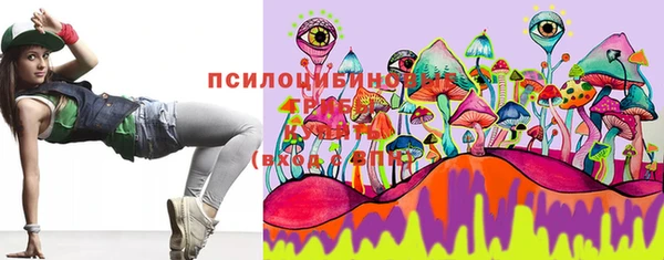 экстази Арсеньев