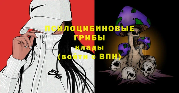 экстази Арсеньев